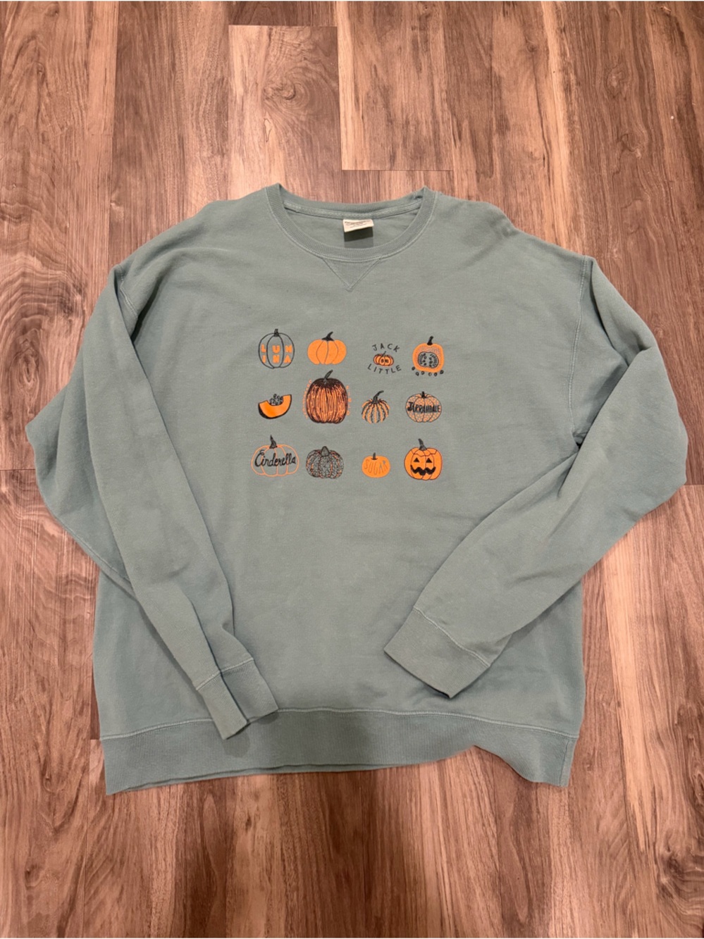 🎃 Pumpkin Patch Graphic Crewneck Sweatshirt